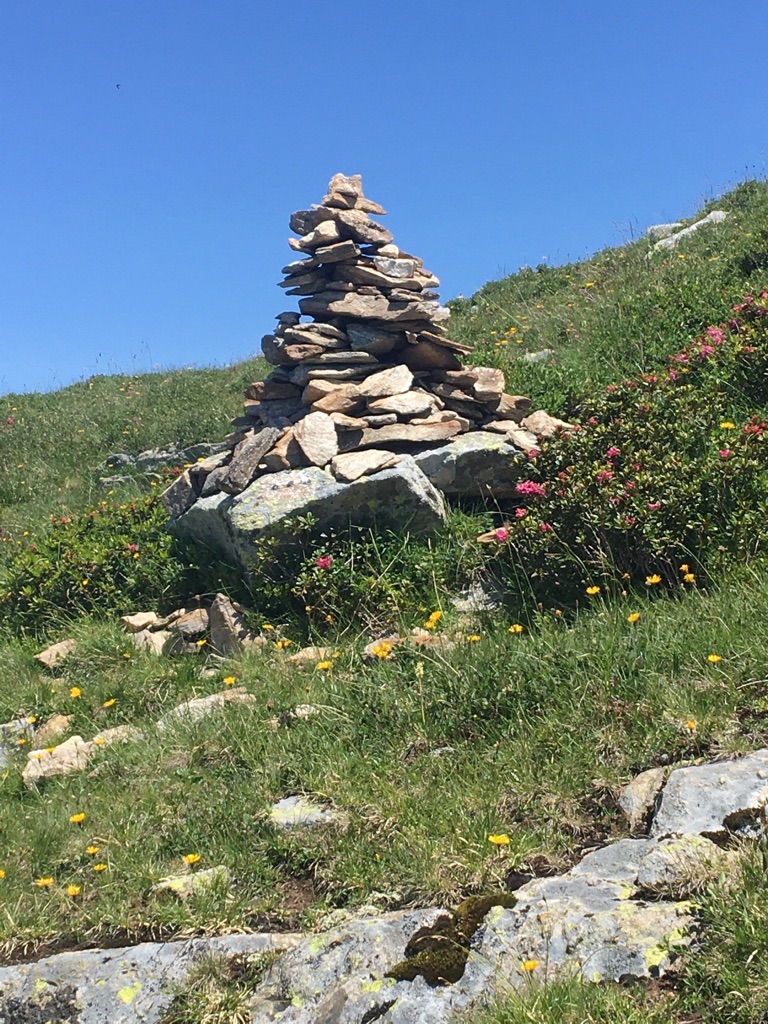 UNADJUSTEDNONRAW_thumb_1540