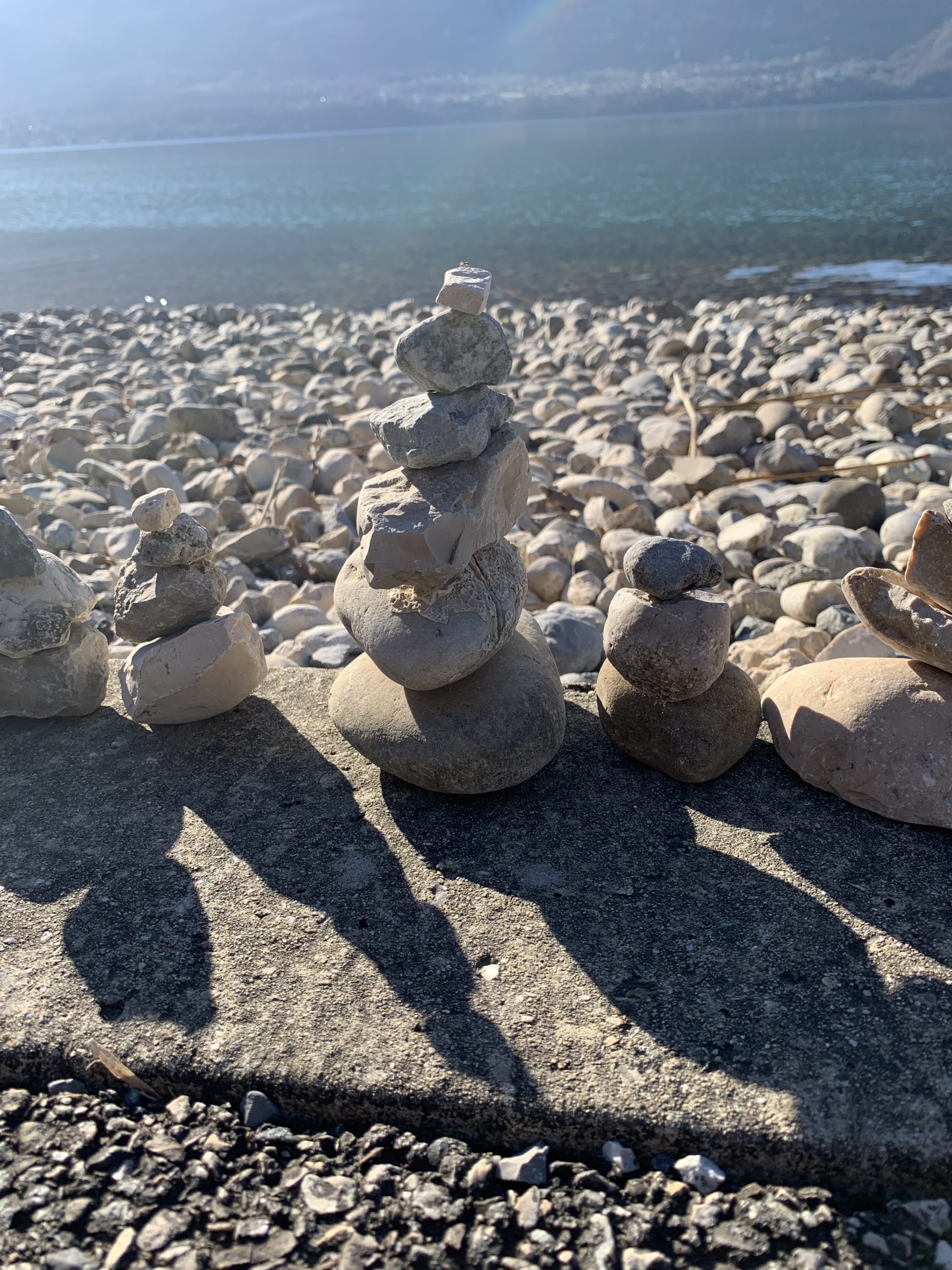 7BA45C35-65A4-4559-86AF-608C0AE1855E un accompagnement personnalisé pour trouver son ikigai